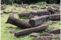 elongated-rock-formations-gunung-padang