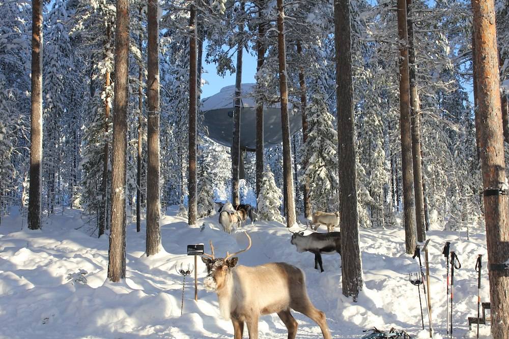 UFO Treehotel in Snow